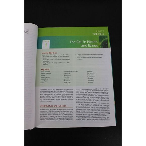 Davis Advantage for Pathophysiology: Introductory Concepts and Clinical - Picture 6 of 8